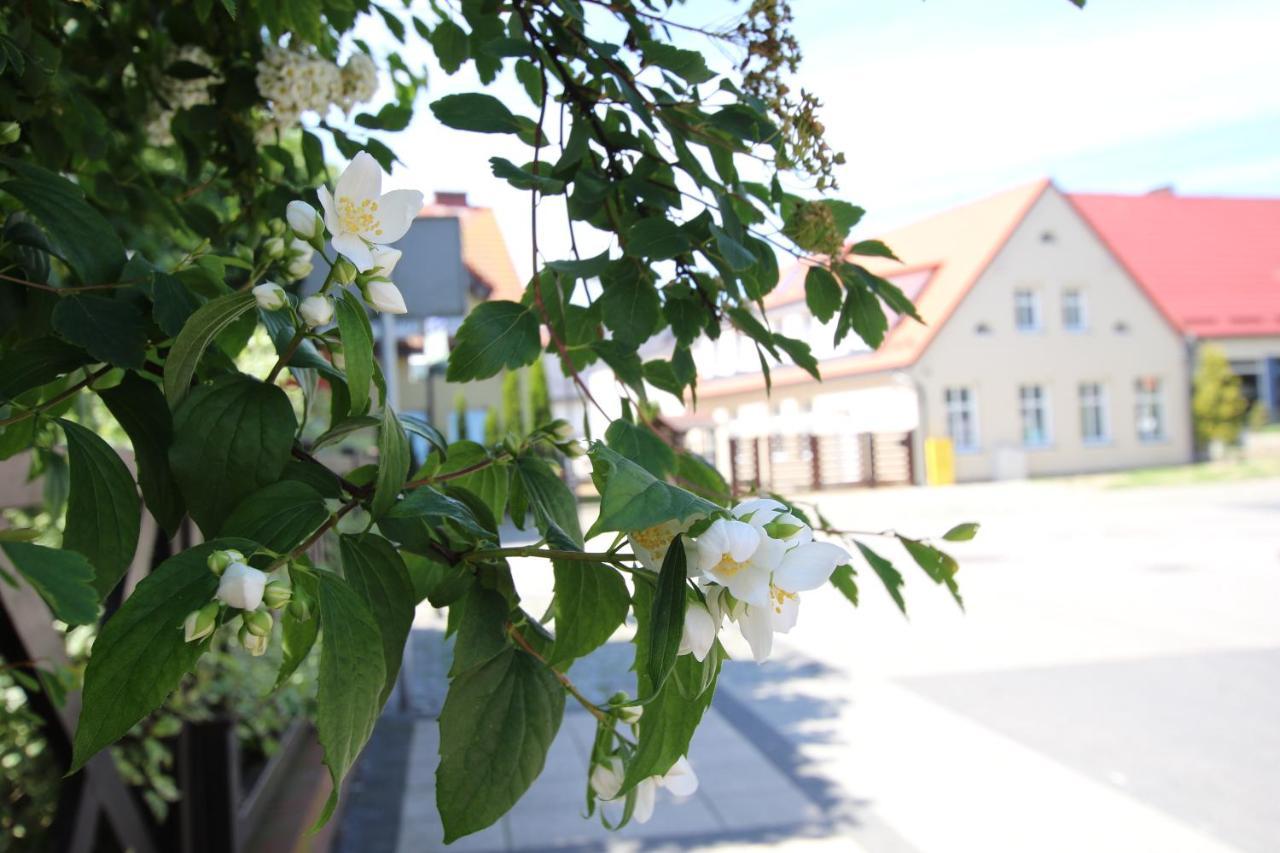 Apartamenty Royal Maris 1 - Najlepsza Lokalizacja W Ustce, Blisko Plazy I Portu, Bezplatny Parking, Scisle Centrum Устка Екстер'єр фото